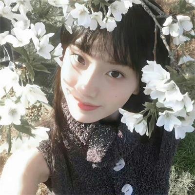 科搜研之女第23季
